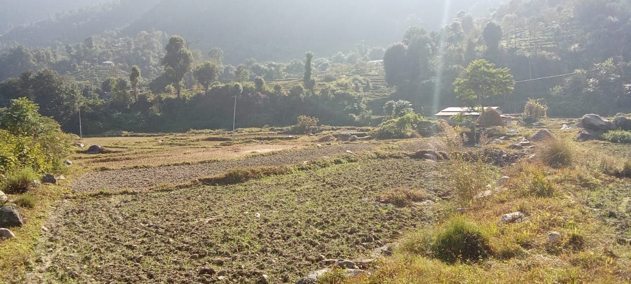 Land for sale in Phursekhola