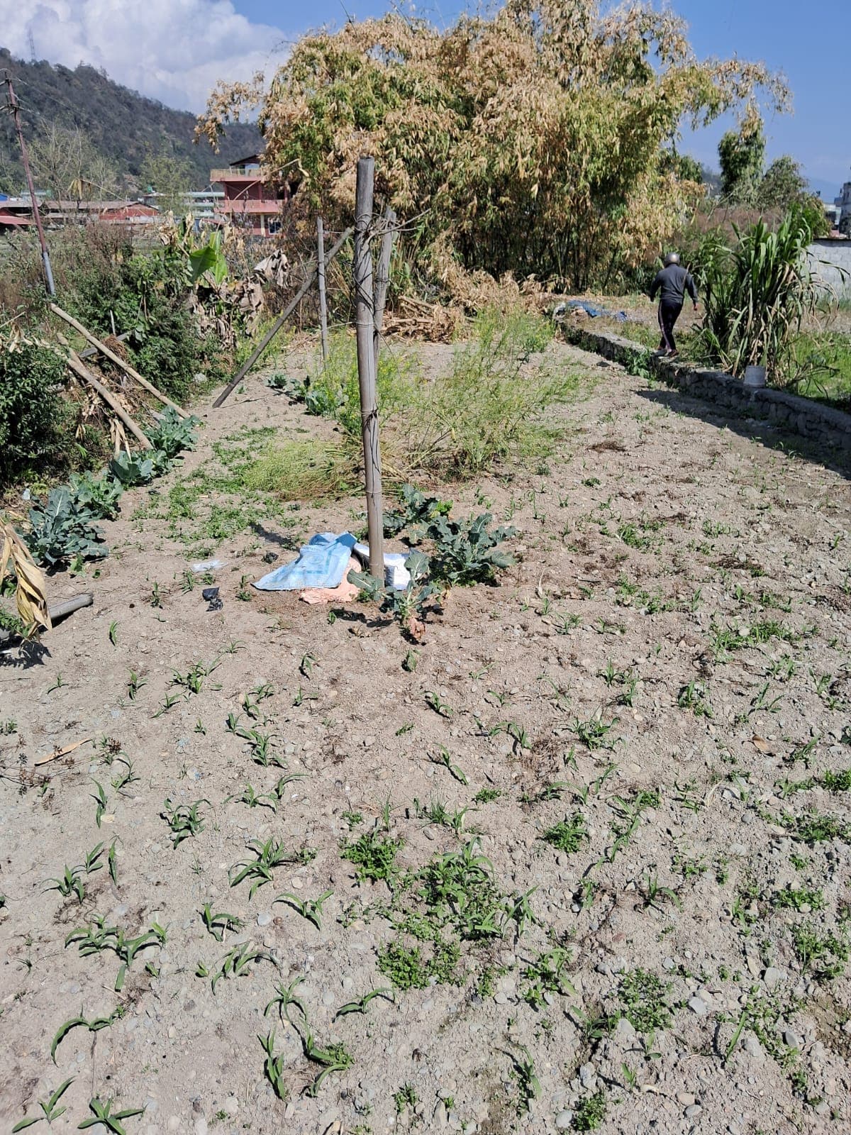 Land for sale in Dadakonak, Awasnagar 