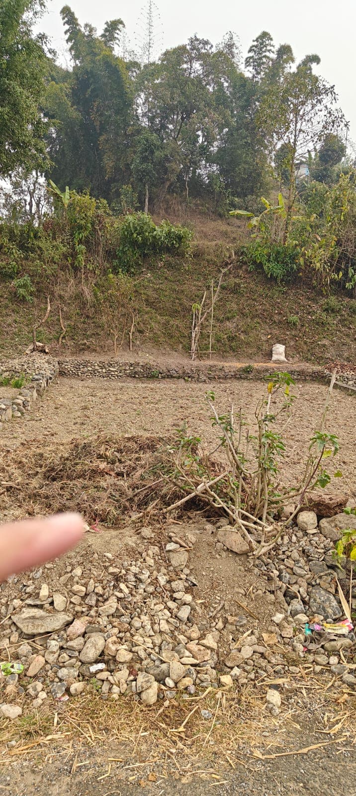 Land for sale in Aarghauchowk