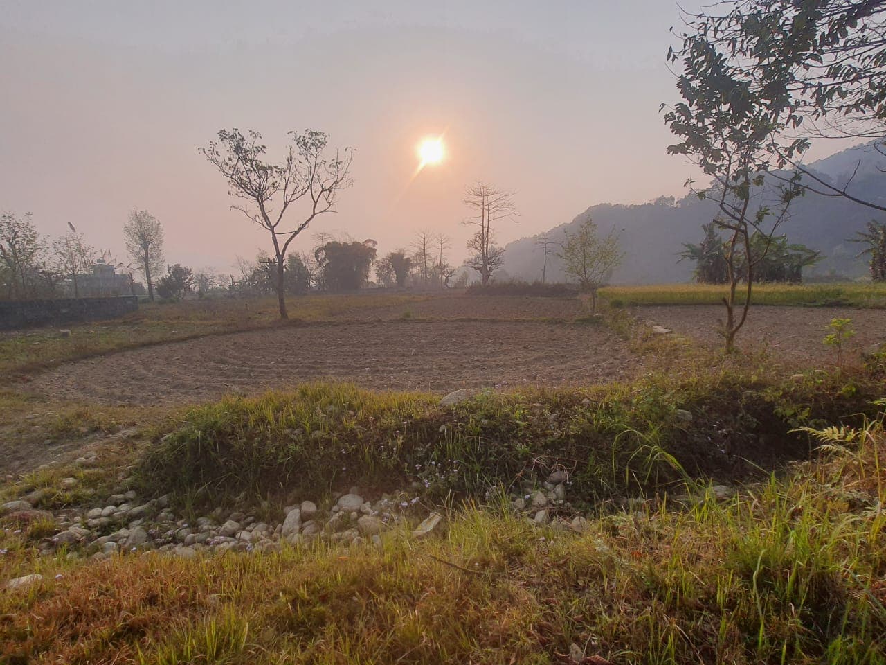 Land for sale in Bagmara