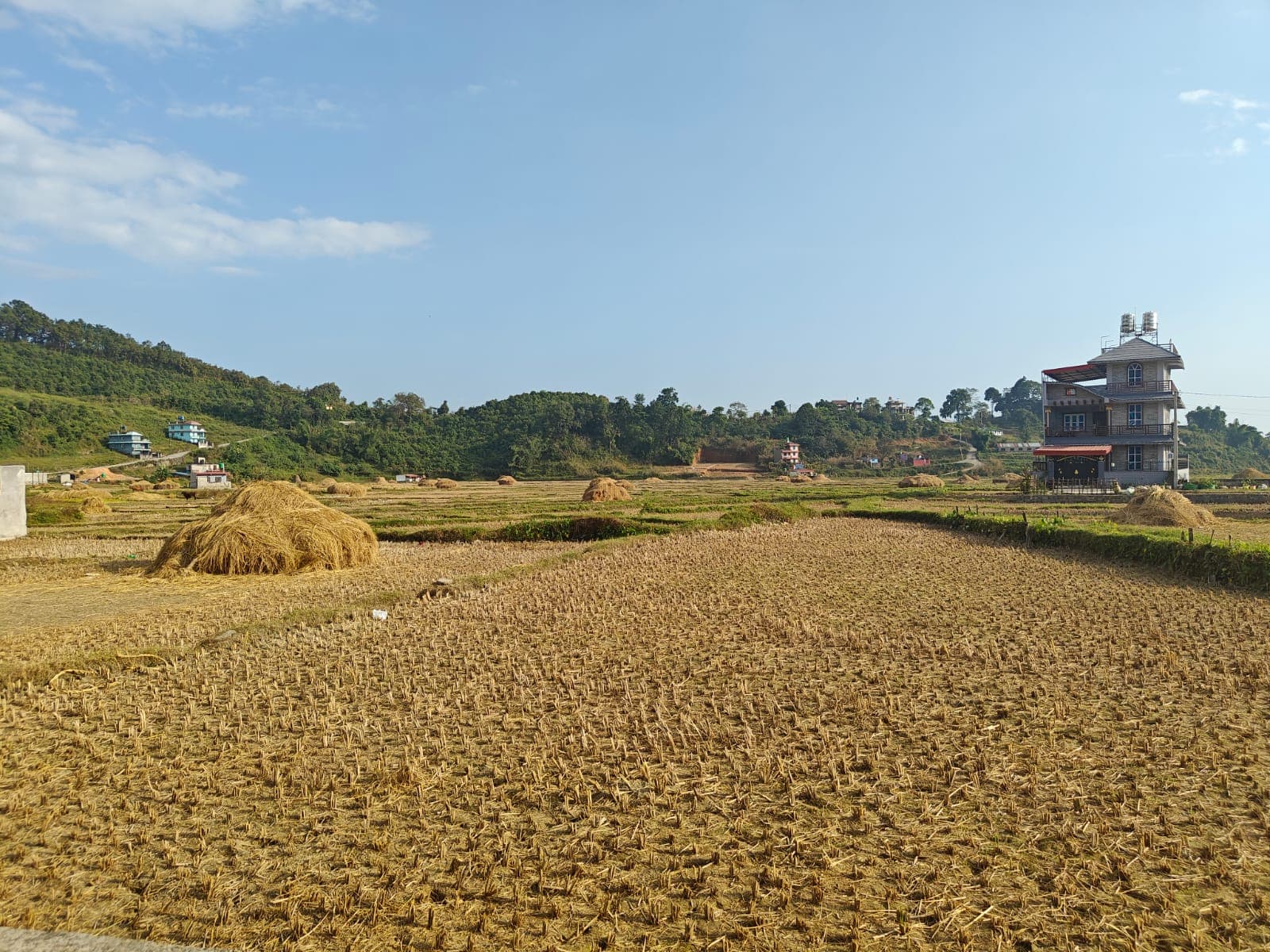 Land for sale in Bijayapur