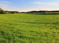 Land for sale in Sitaldevi