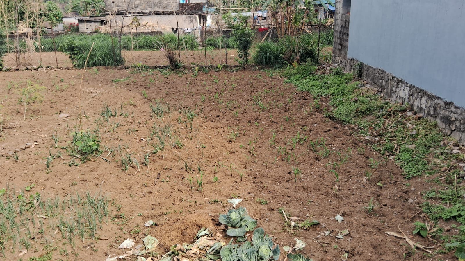 Land for sale in Deep