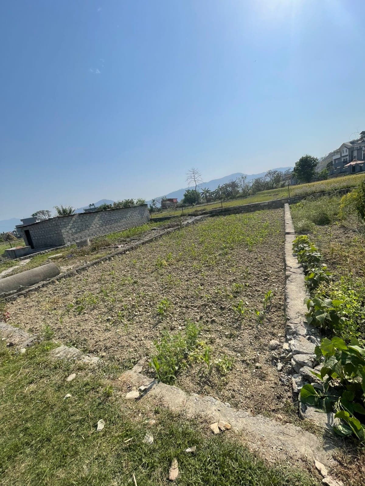 Land for sale in Sishuwa