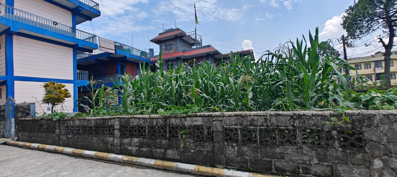 House for sale in Hospital chowk