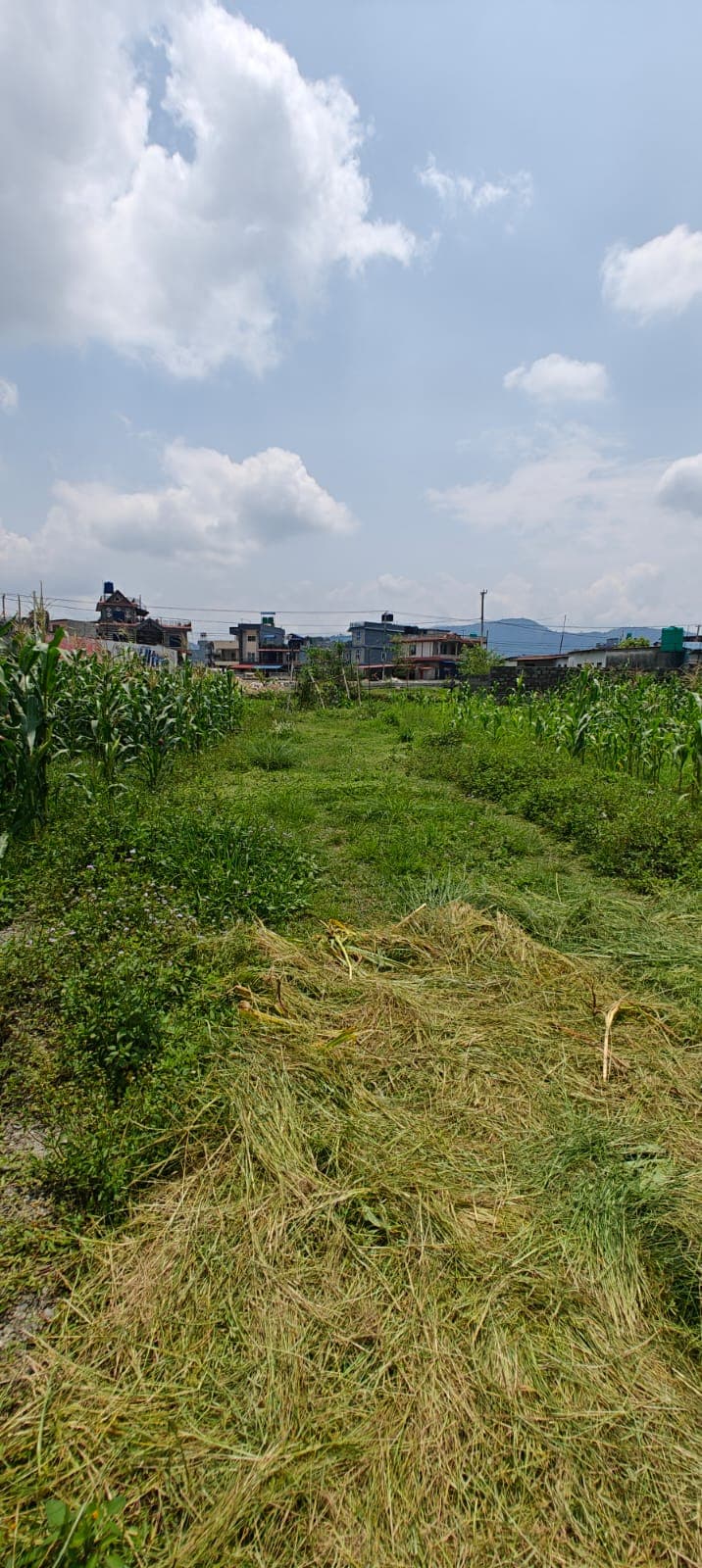 Land for sale in Sishuwa