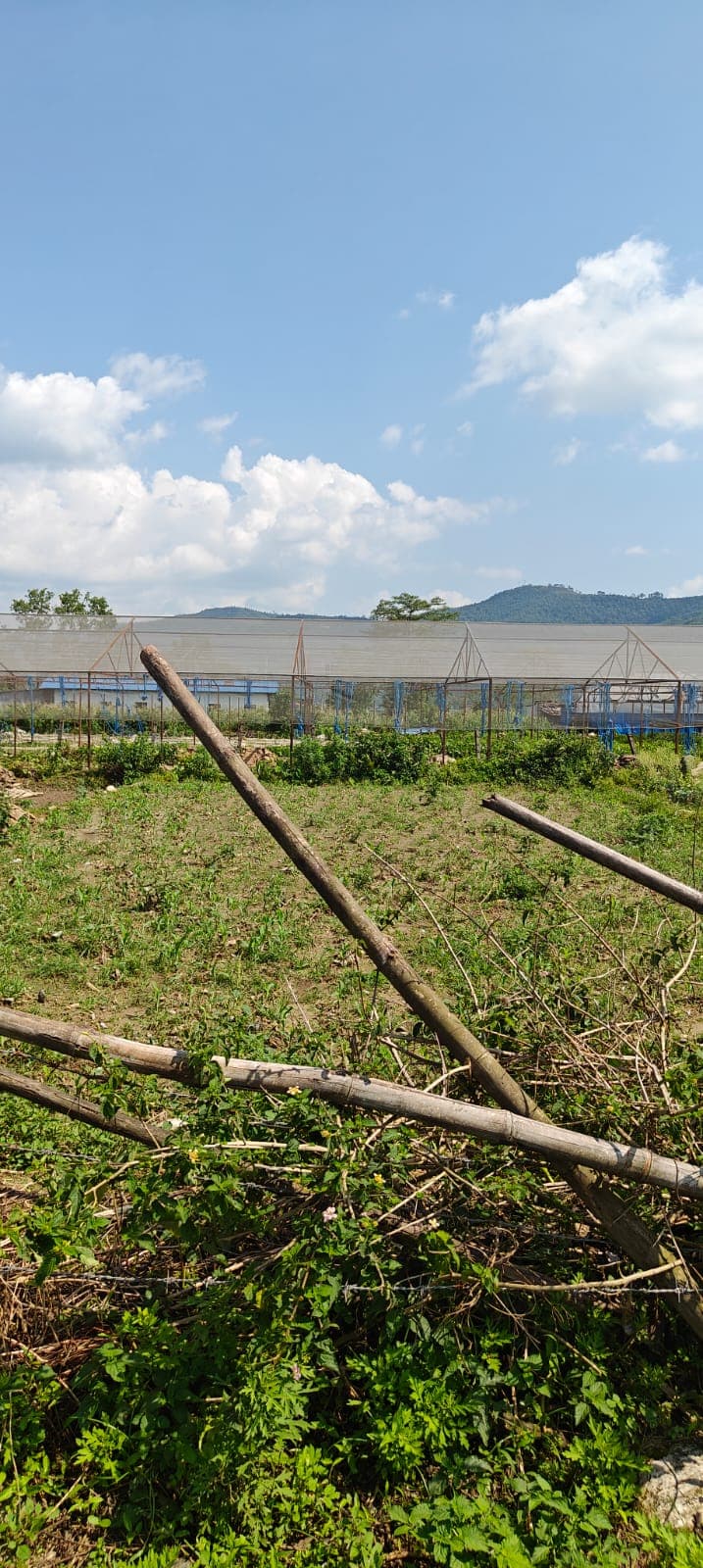 Land for sale in Majheripatan