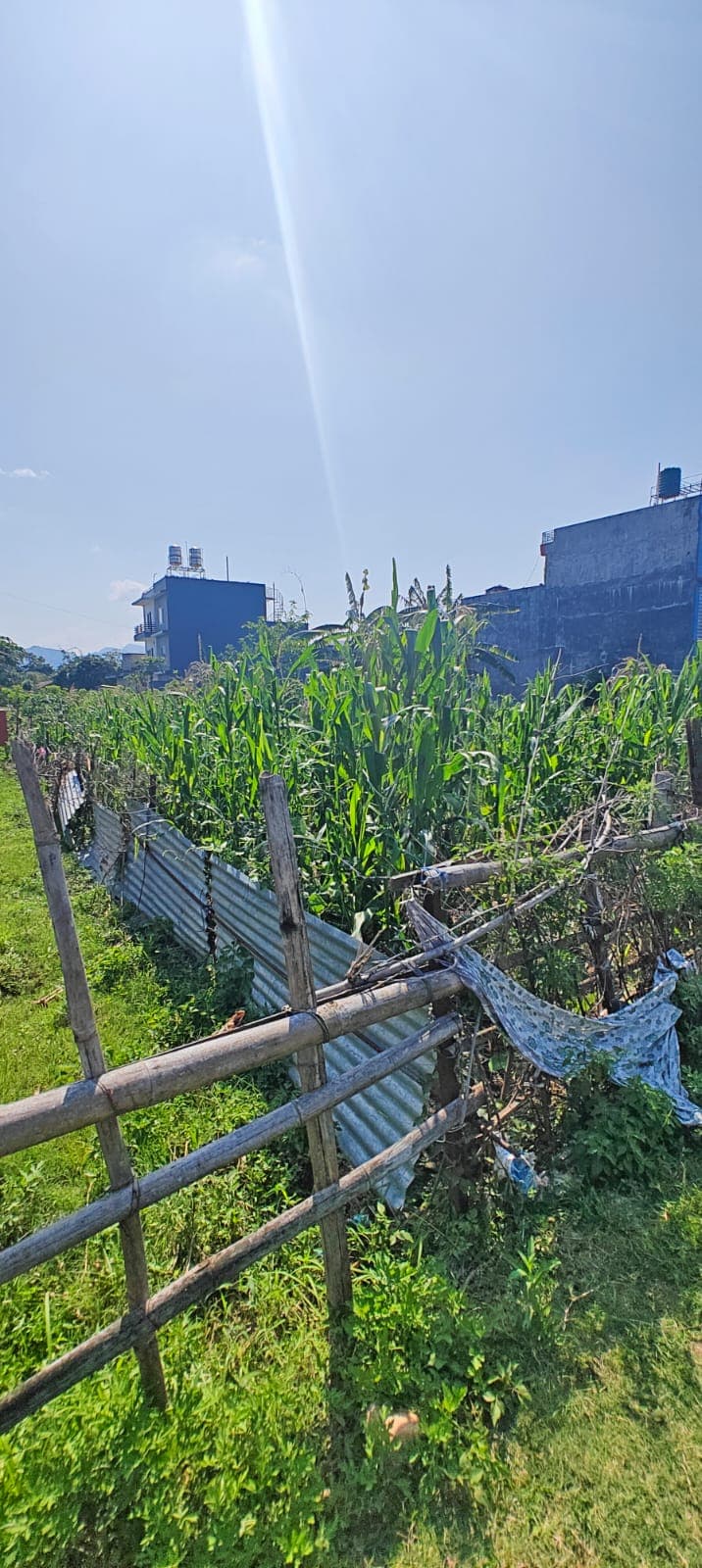 Land for sale in Majheripatan