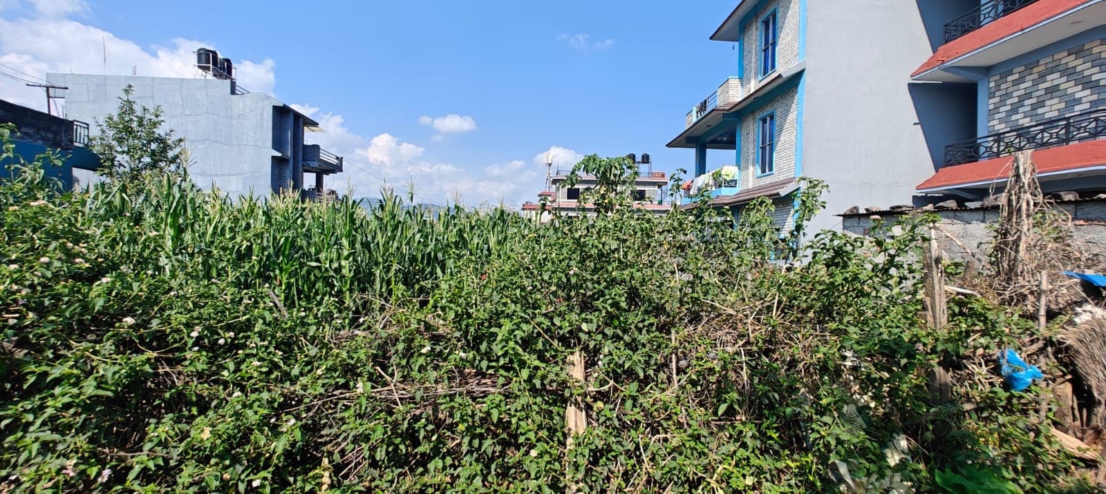 Land for sale in Majheripatan