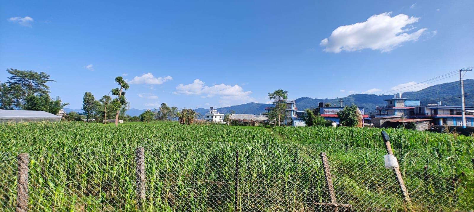 Land for sale in Majheripatan