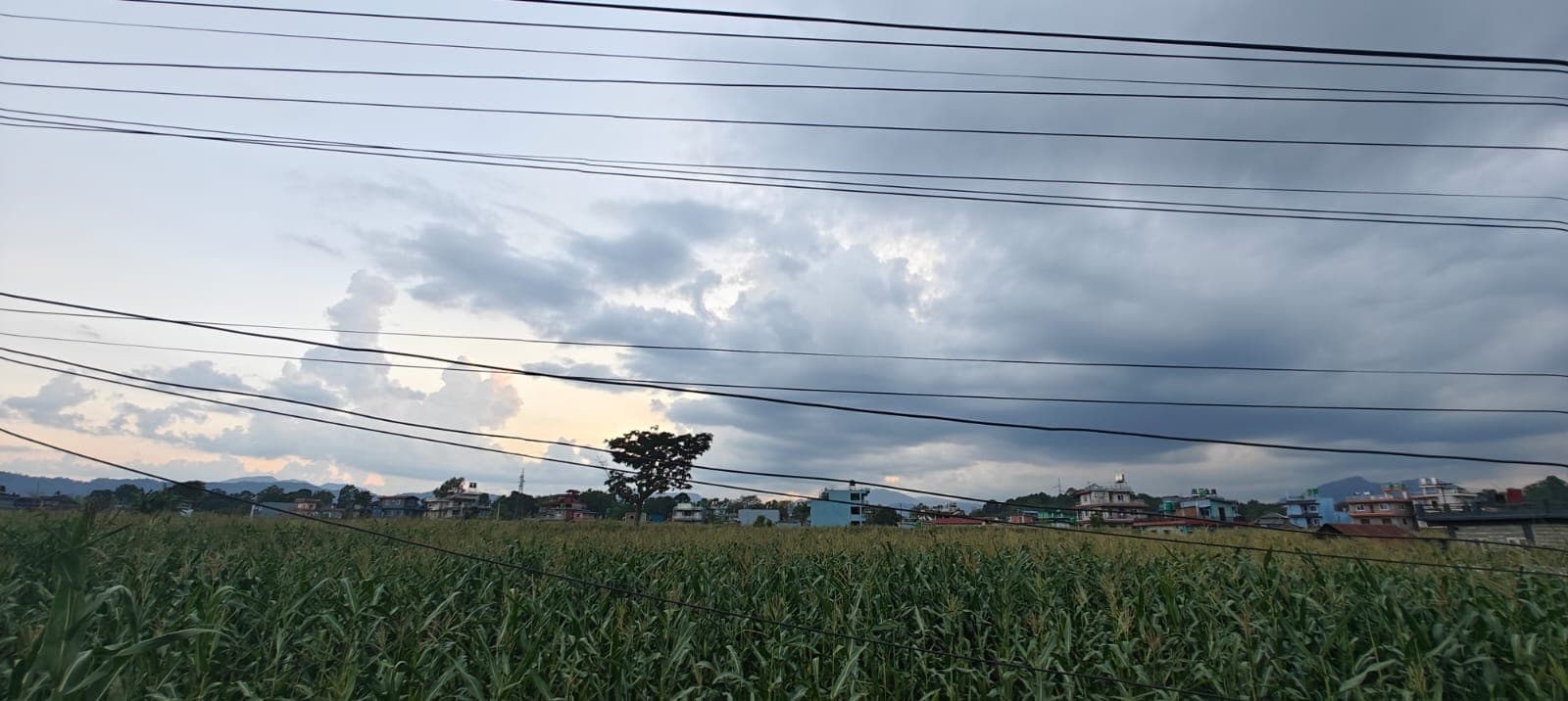 Land for sale in Bijayapur