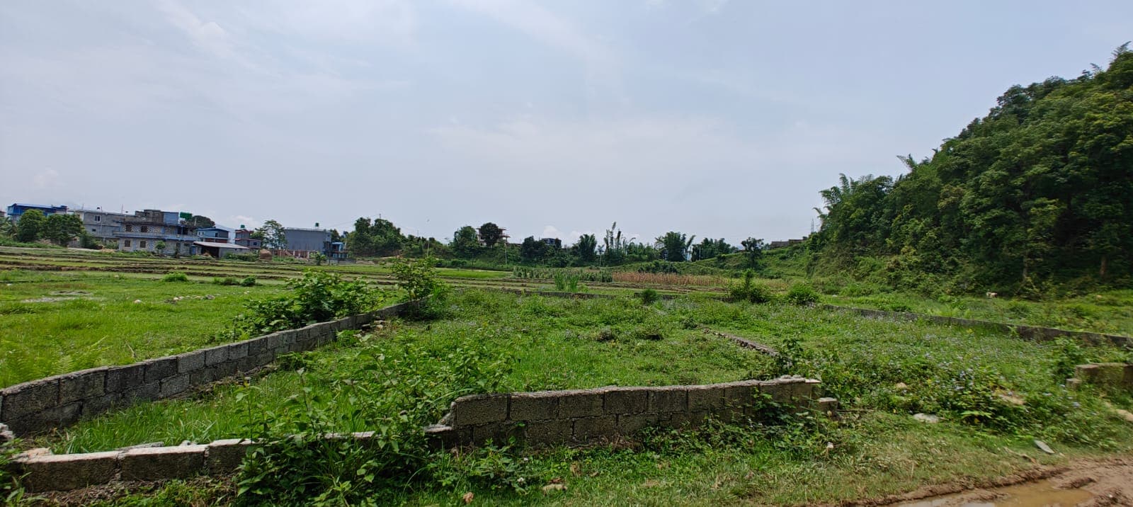 Land for sale in Rithepani 
