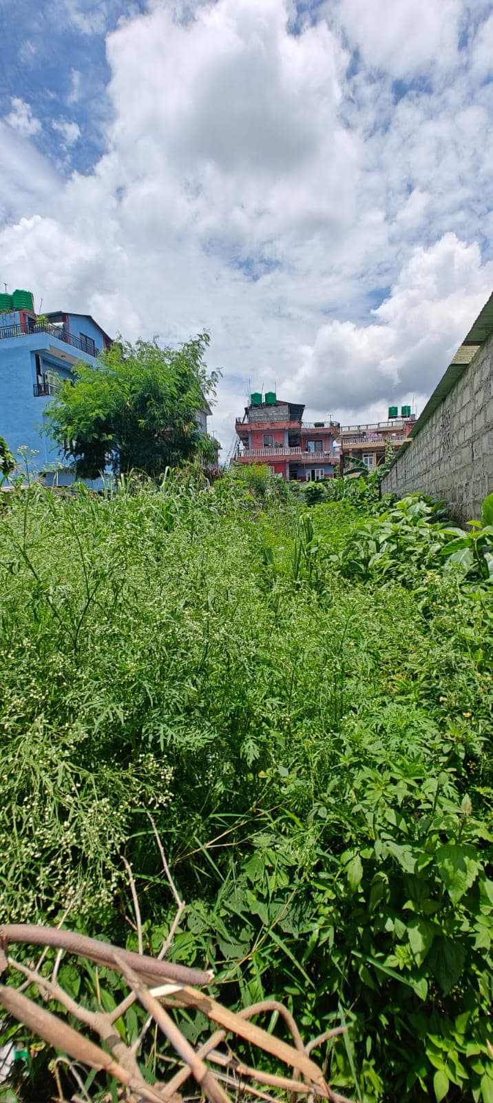Land for sale in Nayabajar