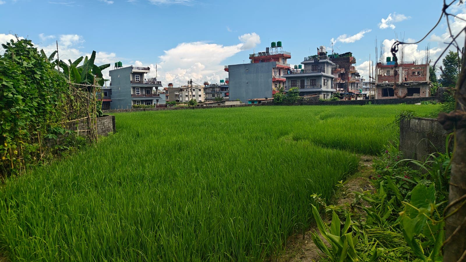 Land for sale in Bhadrakali