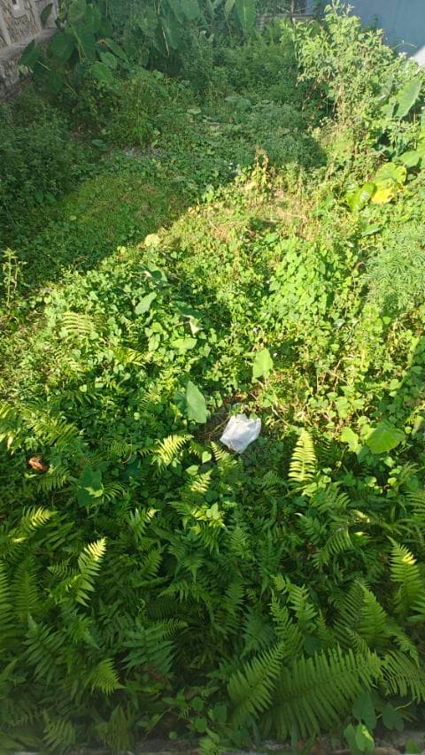 Land for sale in Birauta