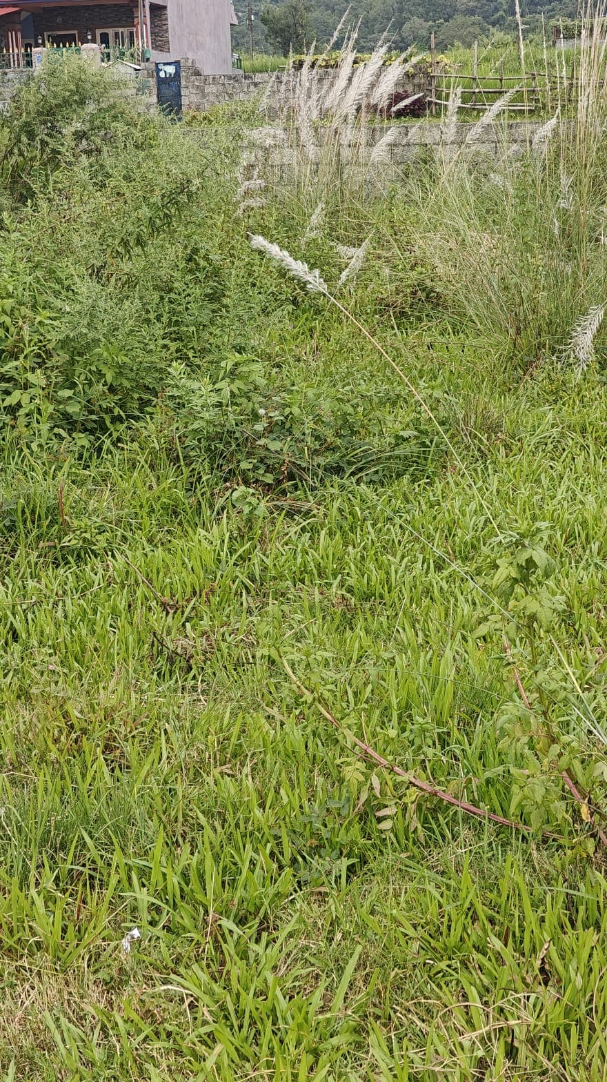 Land for sale in Chauthe