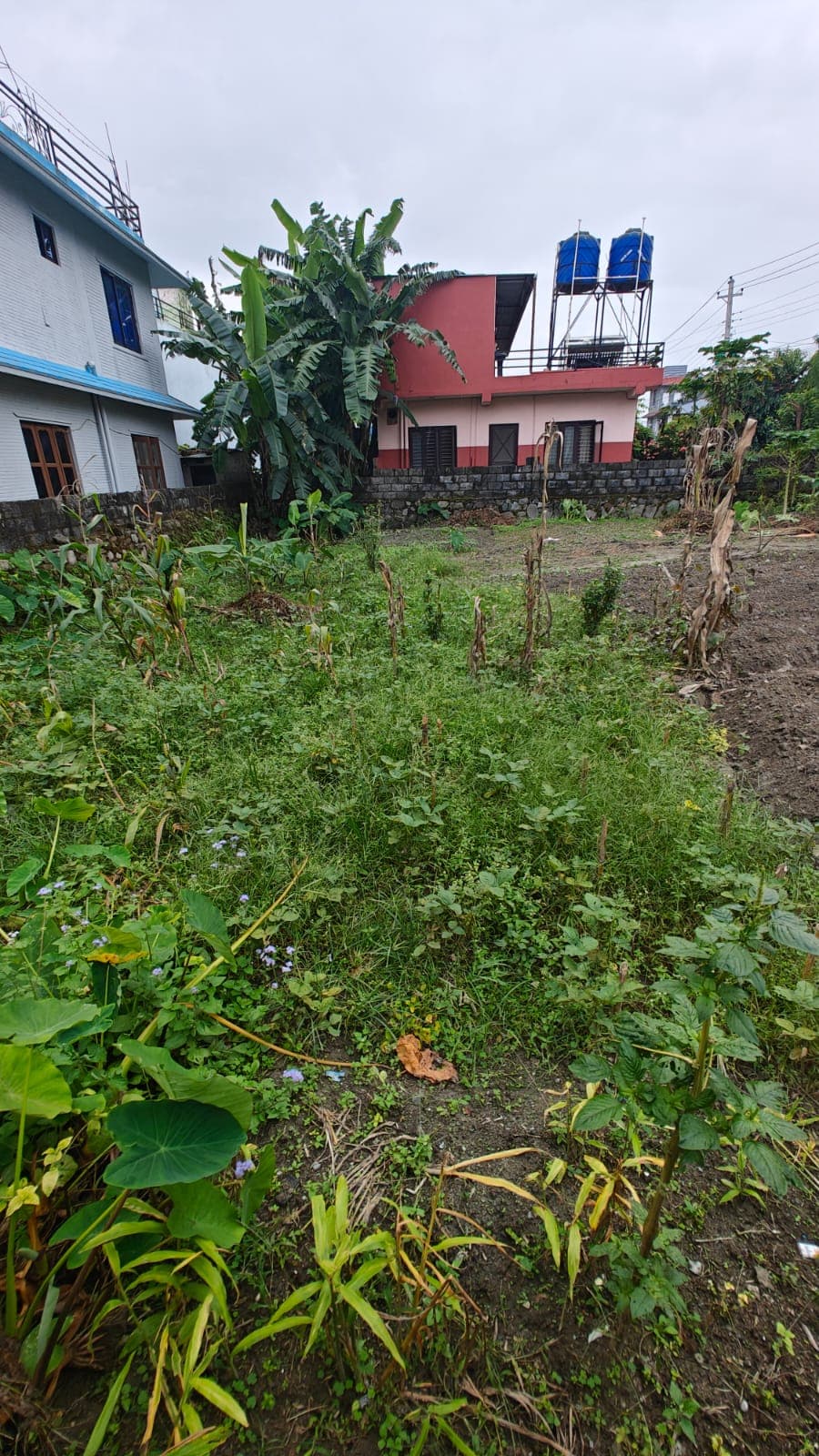 Land for sale in Chauthe