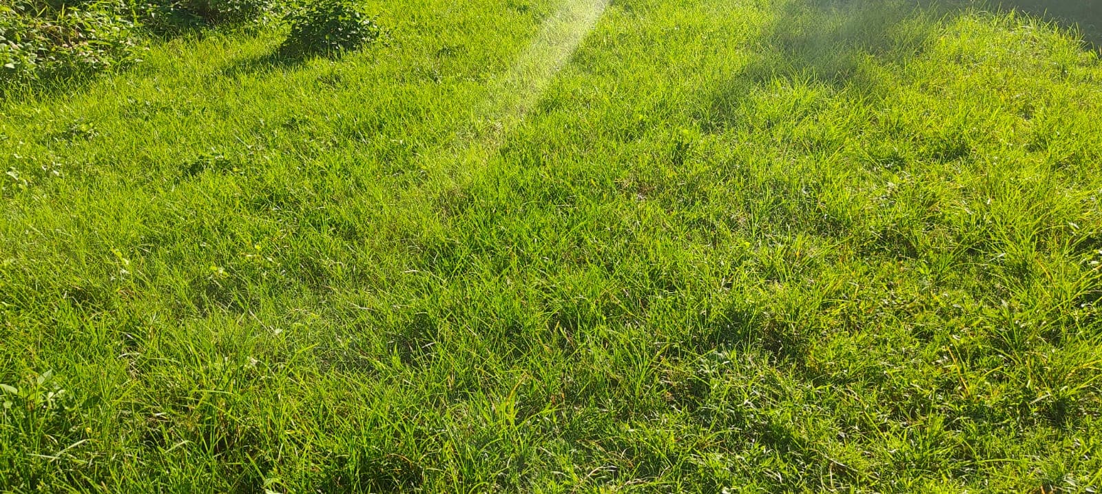 Land for sale in Rambajar