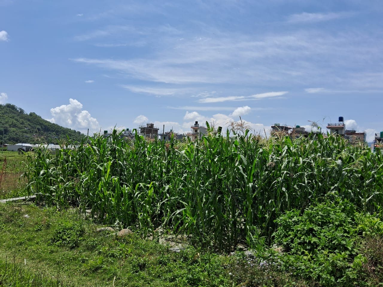 Land for sale in Duikuloko muhan